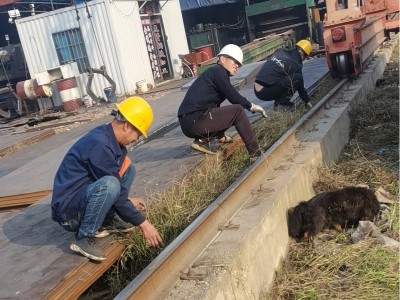 勤劳的点赞人